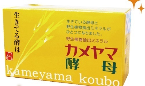 カメヤマ.jpg