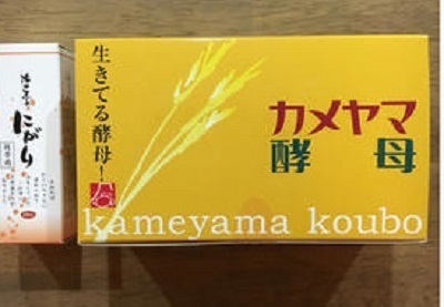 カメヤマ酵母0414.jpg